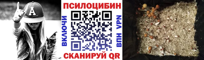 Псилоцибиновые грибы мицелий  Ивдель 